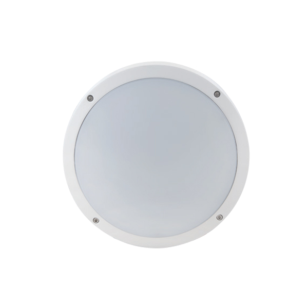 吸顶式应急照明灯B型