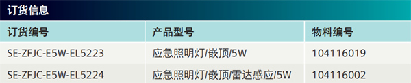 嵌顶式应急照明灯5W